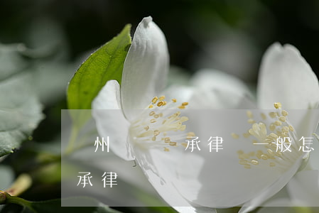 鄭州遺囑繼承律師一般怎么收費(鄭州房屋繼承律師)