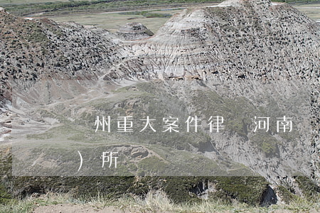 鄭州重大案件律師(河南鄭大律師事務(wù)所)