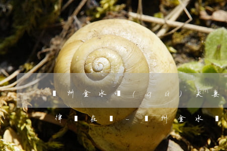 鄭州金水區(qū)夫妻債務(wù)糾紛律師在線-鄭州金水區(qū)夫妻債務(wù)糾紛律師在線電話