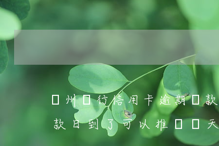 鄭州銀行信用卡逾期還款(鄭州銀行信用卡還款日到了可以推遲幾天)