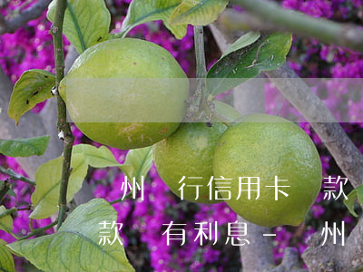 鄭州銀行信用卡還款寬限期內(nèi)還款還有利息-鄭州銀行信用卡還款寬限期內(nèi)還款還有利息嗎