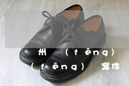 鄭州順風(fēng)車案件(鄭州滴滴順風(fēng)車案件)