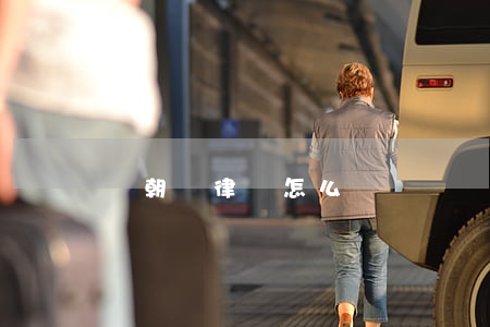 鄭朝東律師怎么樣(鄭漢東律師)