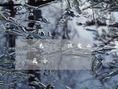 鄭爽訴張恒案二審開庭(鄭爽訴張恒案二審開庭 小說)