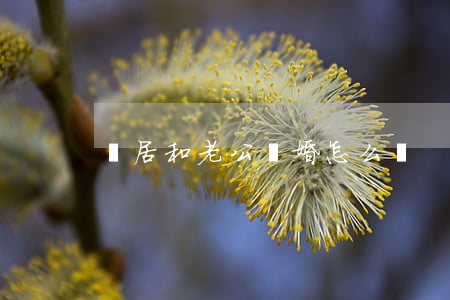 鄰居和老公離婚怎么辦