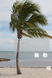 鄰居因蓋房起糾紛找哪個部門(鄰居因蓋房起糾紛找哪個部門)