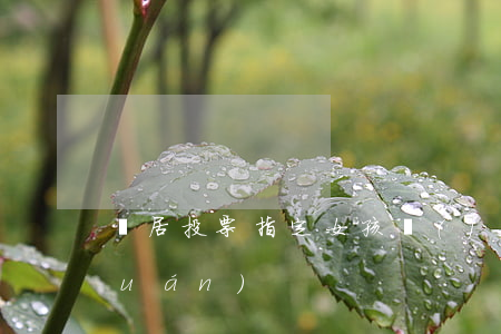 鄰居投票指定女孩監(jiān)護權(quán)