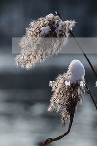 鄰居敲墻怎么收集證據(jù)