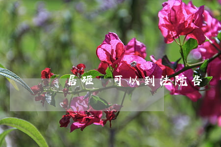 鄰居砸門可以到法院告嗎(砸鄰居的門犯法么)