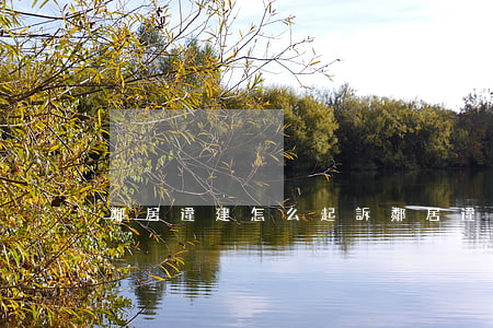 鄰居違建怎么起訴(鄰居違建怎么起訴他)