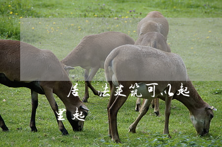 鄰居違法建筑可以起訴嗎(鄰居違章建筑去哪里起訴)