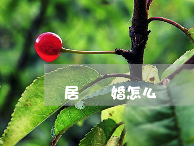 鄰居鬧離婚怎么辦