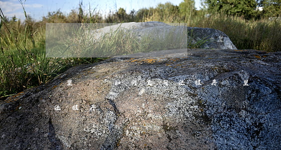 鄰里糾紛如何走司法程序(鄰里糾紛如何走司法程序)