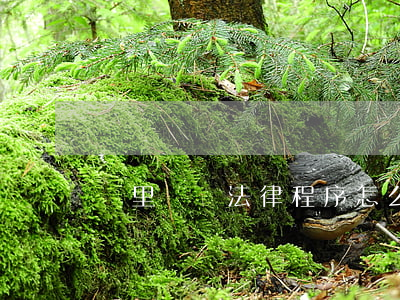 鄰里糾紛法律程序怎么走(鄰里糾紛找哪里解決)