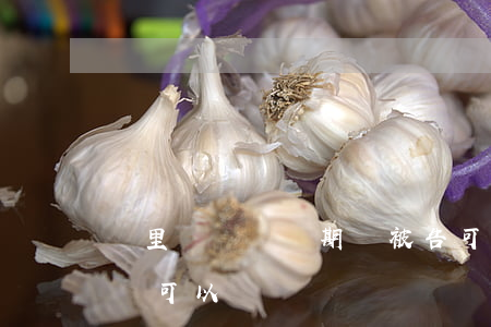 鄰里糾紛訴訟期間被告可以賣房嗎(房子有糾紛可以賣嗎)