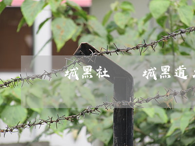 鄲城黑社會(鄲城黑道名人有哪些)