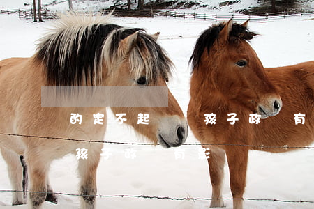 酌定不起訴對孩子政審有影響嗎(免于起訴對孩子政審有影響嗎)