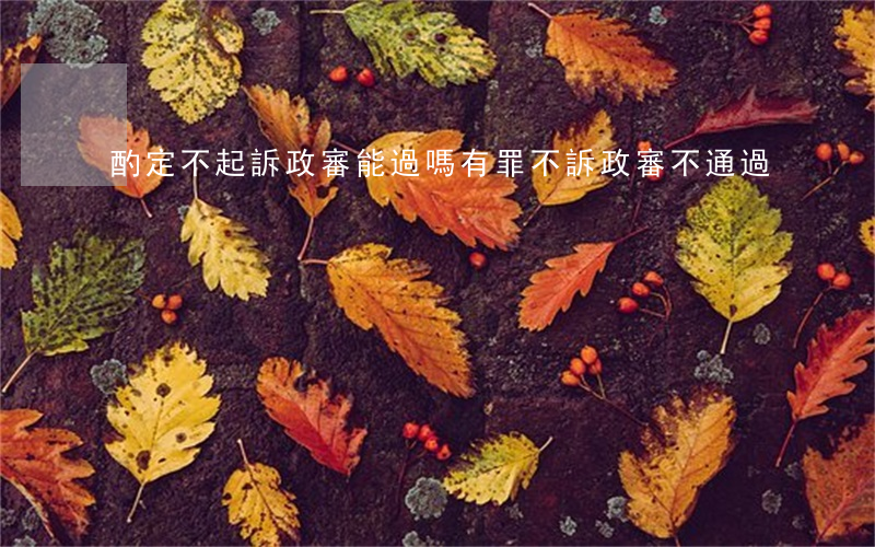 酌定不起訴政審能過嗎(有罪不訴 政審不通過)
