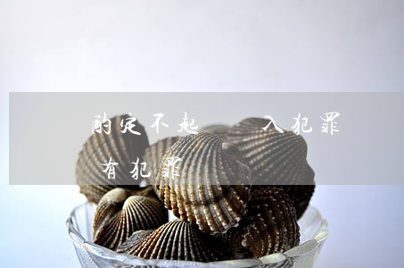 酌定不起訴納入犯罪記錄嗎(法院沒有判決算有犯罪記錄嗎)
