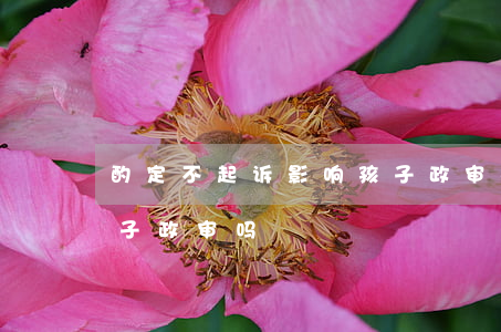 酌定不起诉影响孩子政审(相对不起诉影响孩子政审吗)