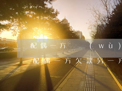 配偶一方債務(wù)如何執(zhí)行(配偶一方欠款另一方有償還義務(wù)嗎)