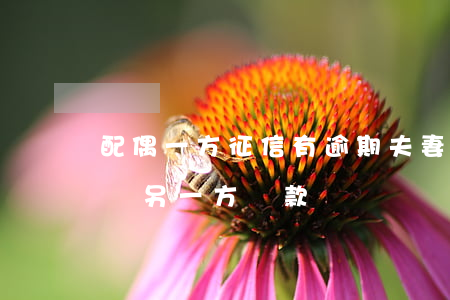 配偶一方征信有逾期(夫妻一方征信有逾期影響另一方貸款嗎)