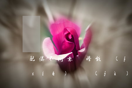 配偶不同意離婚能復(fù)婚嗎(離婚協(xié)議復(fù)婚后有效嗎?)