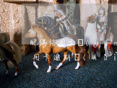 配偶信用卡嚴(yán)重逾期被起訴(我信用卡逾期會(huì)不會(huì)影響我老婆)
