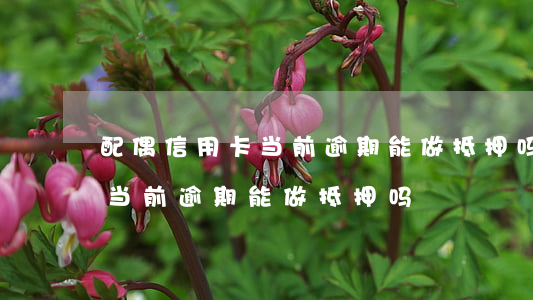 配偶信用卡当前逾期能做抵押吗(配偶信用卡当前逾期能做抵押吗)