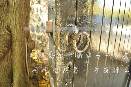 配偶信用卡逾期另一方有什么影响-配偶信用卡逾期另一方有什么影响吗