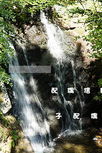 配偶信用卡逾期可以貸款嗎(買(mǎi)房子配偶信用卡逾期能買(mǎi)嗎)