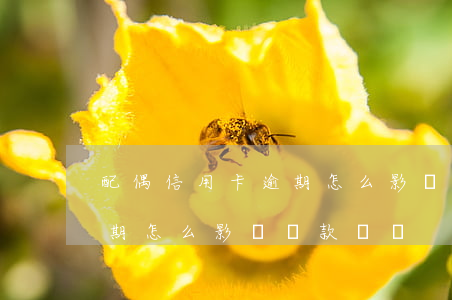 配偶信用卡逾期怎么影響貸款(配偶信用卡逾期怎么影響貸款買車)