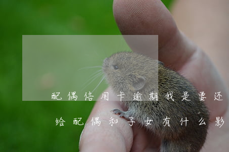 配偶信用卡逾期我是要还(信用卡逾期不还会给配偶和子女有什么影响)