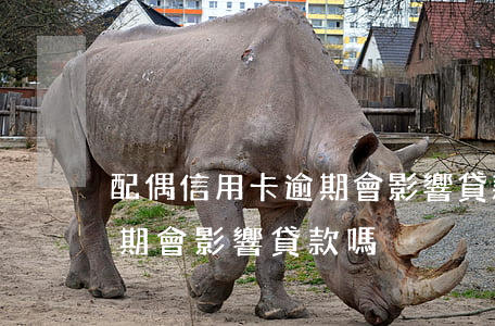 配偶信用卡逾期會影響貸款嗎(配偶信用卡逾期會影響貸款嗎)