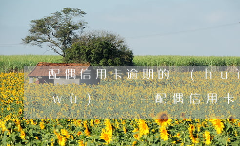 配偶信用卡逾期的會(huì)影響公務(wù)員嗎-配偶信用卡逾期的會(huì)影響公務(wù)員嗎知乎