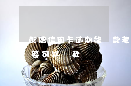 配偶信用卡逾期能貸款(老公信用卡有逾期,老婆可以貸款嗎)