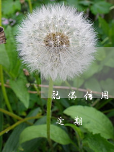 配偶信用卡逾期贷款(办信用卡配偶方有多次逾期)