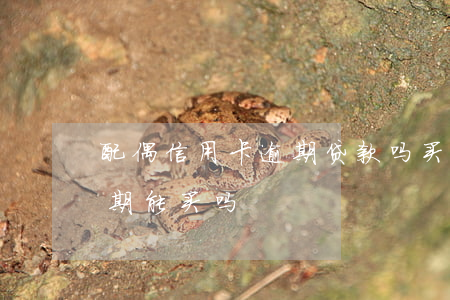 配偶信用卡逾期贷款吗(买房子配偶信用卡逾期能买吗)