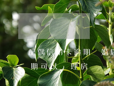 配偶信用卡逾期離婚后房貸(配偶有信用卡逾期可以辦理房貸嗎)