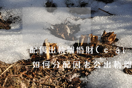 配偶出軌離婚財(cái)產(chǎn)如何分配，因老公出軌離婚財(cái)產(chǎn)怎么分配