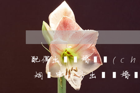 配偶出軌離婚財產(chǎn)如何分配(婚姻當中一方出軌離婚財產(chǎn)如何分配)