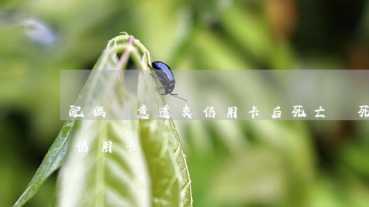 配偶惡意透支信用卡后死亡(臨死前惡意透支信用卡)