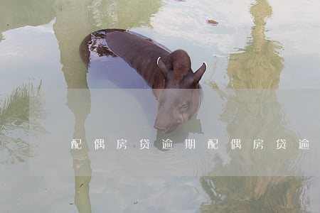 配偶房贷逾期(配偶房贷逾期会影响政审吗?)