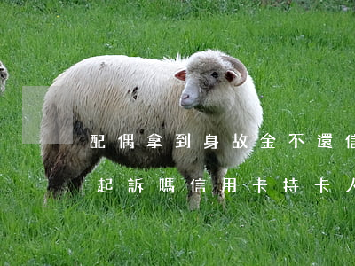 配偶拿到身故金不還信用卡會(huì)被起訴嗎(信用卡持卡人去世欠款配偶不還會(huì)怎么樣)