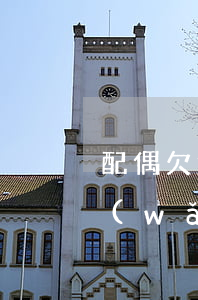 配偶欠網(wǎng)貸會查我的流水嗎(網(wǎng)貸會查配偶征信嗎)