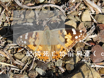 配偶死亡婚前房產(chǎn)怎么分