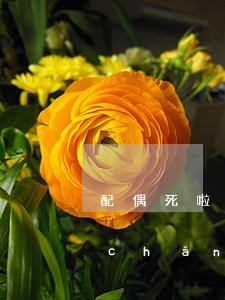 配偶死啦怎么寫訴訟狀繼承(丈夫死亡遺產(chǎn)繼承訴狀范本)