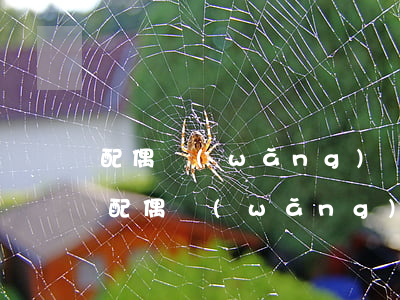 配偶網(wǎng)貸逾期會影響另一方嗎(配偶網(wǎng)貸逾期會影響另一方嗎知乎)