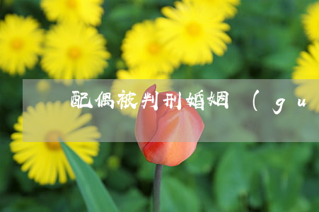 配偶被判刑婚姻關(guān)系如何解除
