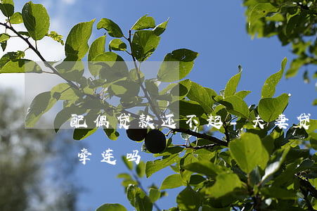 配偶贷款还不起-夫妻贷款还不上,妻子会受牵连吗